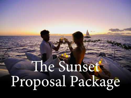 The best proposal on Oahu